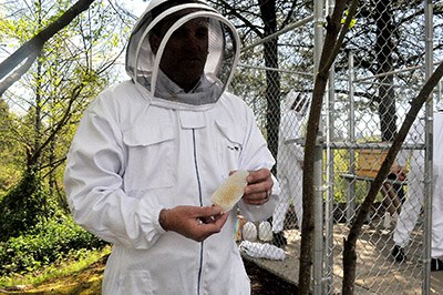 Jay Ashworthshows staff the caged queen bee that will go into the Coquitlam company's new parking lot apiary.
