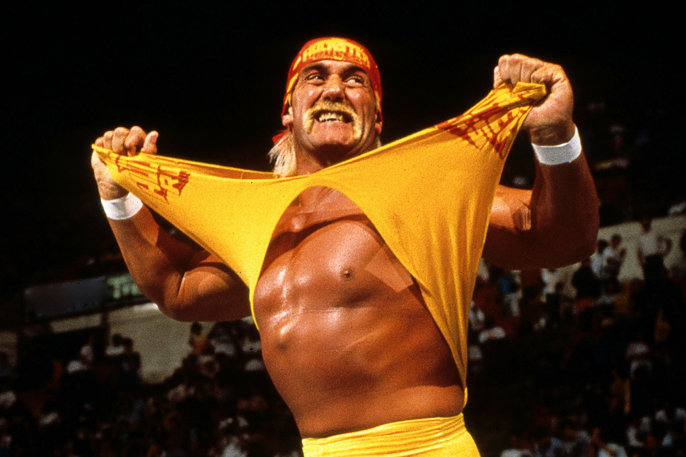 hulk-hogan-wwe